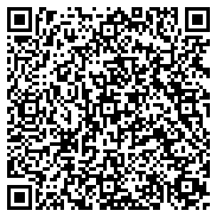 QR-код с контактной информацией организации Блинная