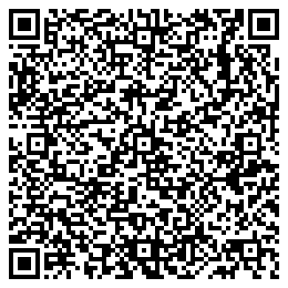 QR-код с контактной информацией организации ВокиТоки, кафе