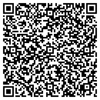 QR-код с контактной информацией организации Автомойка на Лесной, 6