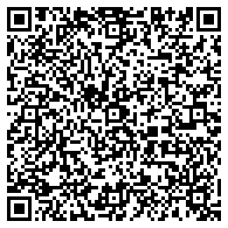 QR-код с контактной информацией организации ИП Мищиев А.А.