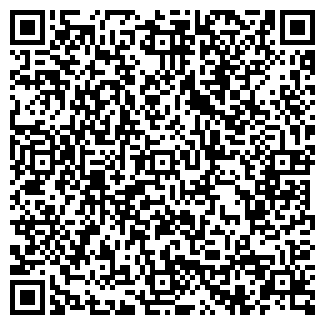 QR-код с контактной информацией организации Бистро на ул. Копылова, 2а/1