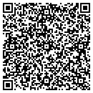 QR-код с контактной информацией организации ИП Ахметзянова Д.Г.
