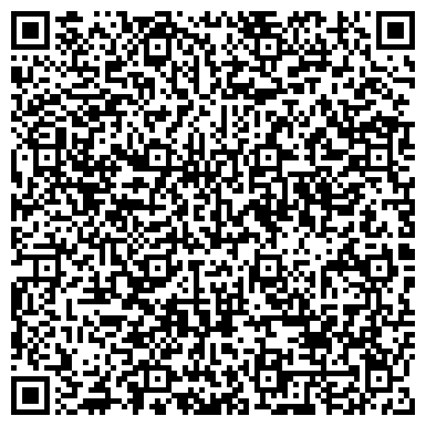 QR-код с контактной информацией организации Шина Сервис, автосервис, ИП Кочетов А.И.