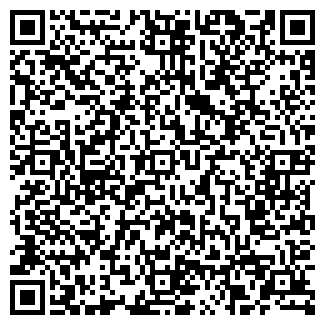 QR-код с контактной информацией организации Бистро на ул. Максимова, 47Б