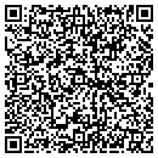 QR-код с контактной информацией организации Бистро на ул. Белинского, 12а