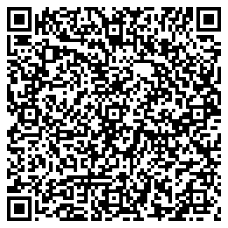 QR-код с контактной информацией организации ИП Быстров И.Н.