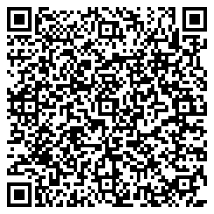 QR-код с контактной информацией организации Чили