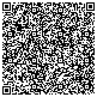QR-код с контактной информацией организации Балтийский лизинг, ООО, лизинговая компания, Петрозаводский филиал