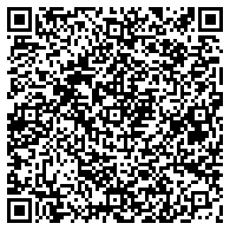 QR-код с контактной информацией организации Продуктовый магазин, ООО Светлячок