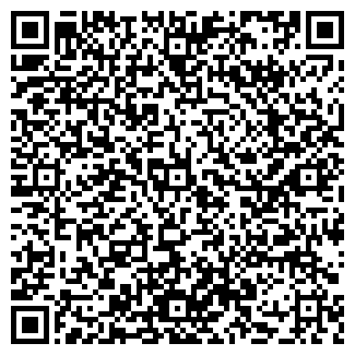 QR-код с контактной информацией организации Чудо Юдо