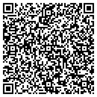 QR-код с контактной информацией организации Продуктовый магазин на Вишнёвой, 4в