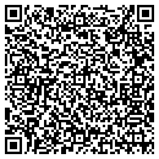 QR-код с контактной информацией организации Svetski