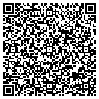 QR-код с контактной информацией организации ИП Чинова И.В.