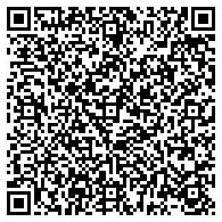 QR-код с контактной информацией организации Модильяни