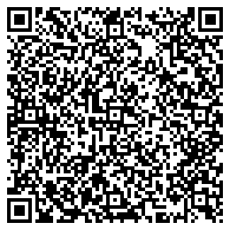 QR-код с контактной информацией организации Кижи