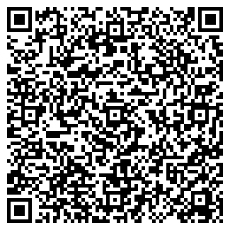 QR-код с контактной информацией организации CHINA-MOBILY.RU