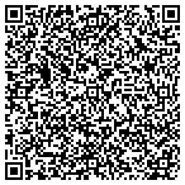 QR-код с контактной информацией организации Bang & Olufsen, салон, ИП Пичугина Н.А.