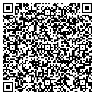 QR-код с контактной информацией организации Vincent