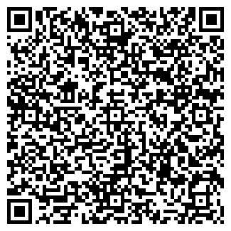 QR-код с контактной информацией организации Бирюльки