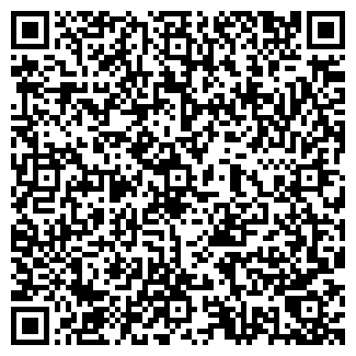 QR-код с контактной информацией организации БЛИНКОВ ЧП