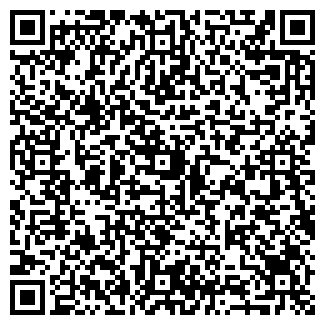 QR-код с контактной информацией организации Багги-Мастер
