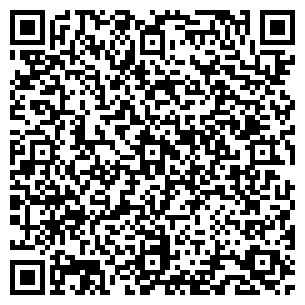 QR-код с контактной информацией организации Бийский лицей