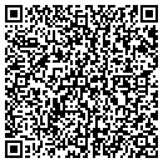 QR-код с контактной информацией организации Havana