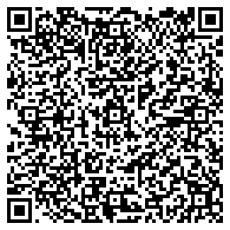 QR-код с контактной информацией организации Lada Деталь