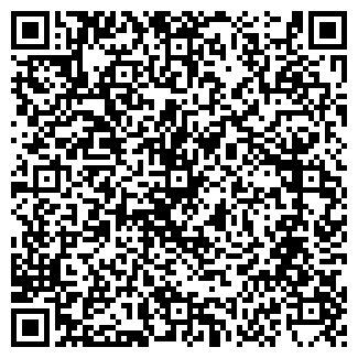 QR-код с контактной информацией организации ИП Виляев В.Н.