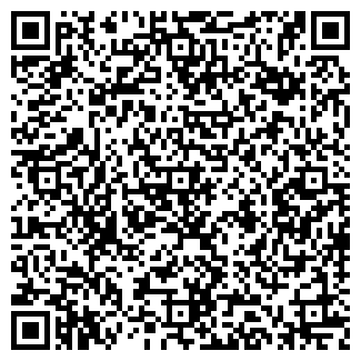 QR-код с контактной информацией организации Бизнес Татарстана