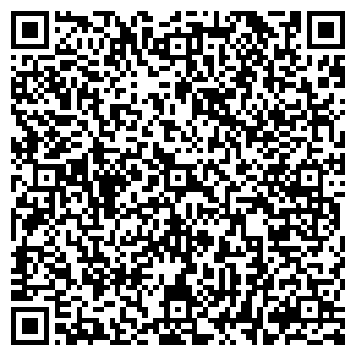 QR-код с контактной информацией организации Курносики