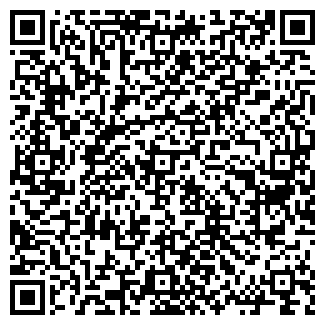QR-код с контактной информацией организации VipKazan.com