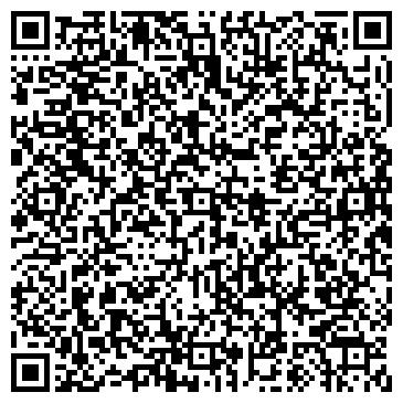 QR-код с контактной информацией организации Шиномонтажная мастерская на Звёздной, 3