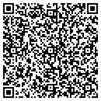 QR-код с контактной информацией организации ИП Голензу И.А.