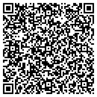 QR-код с контактной информацией организации ИП Ильина Е.Ю.