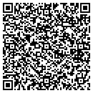 QR-код с контактной информацией организации LioN