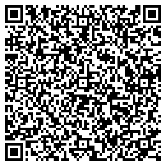 QR-код с контактной информацией организации БЛИК