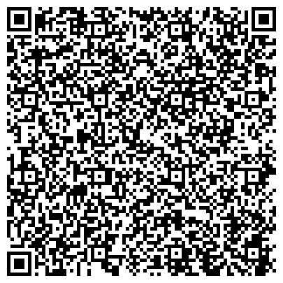 QR-код с контактной информацией организации Детский сад №271, Ручеек, интеллектуального направления развития