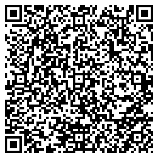 QR-код с контактной информацией организации Лицей