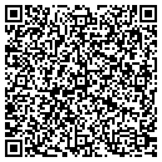 QR-код с контактной информацией организации Мистер Мастер