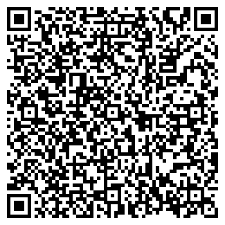 QR-код с контактной информацией организации ИП Гизетдинова В.Р.