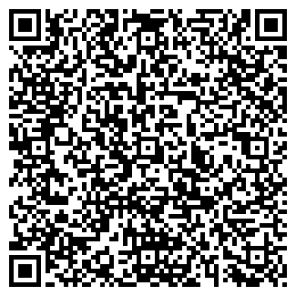 QR-код с контактной информацией организации Пирогов
