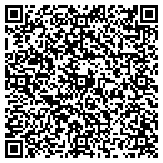 QR-код с контактной информацией организации Былина