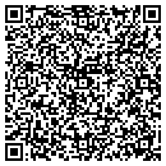 QR-код с контактной информацией организации ИП Шазиев З.З.