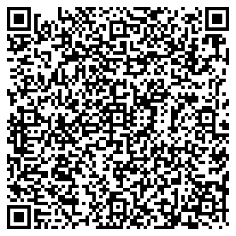 QR-код с контактной информацией организации # 163 ДЕТСКИЙ САД