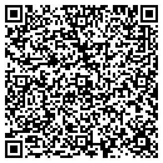QR-код с контактной информацией организации Irish Pub