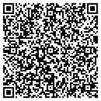 QR-код с контактной информацией организации Accessory