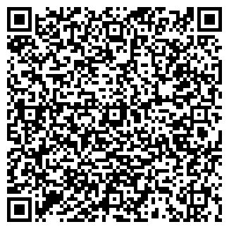 QR-код с контактной информацией организации Бар на Вольской, 117