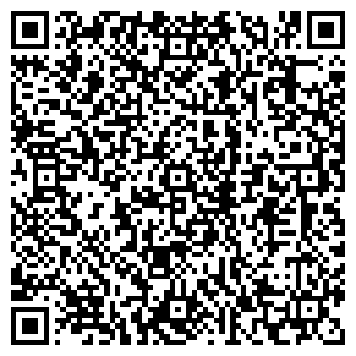 QR-код с контактной информацией организации ИП Шафигулин Р.М.