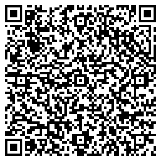 QR-код с контактной информацией организации У Карла, пив-бар, ООО Вис